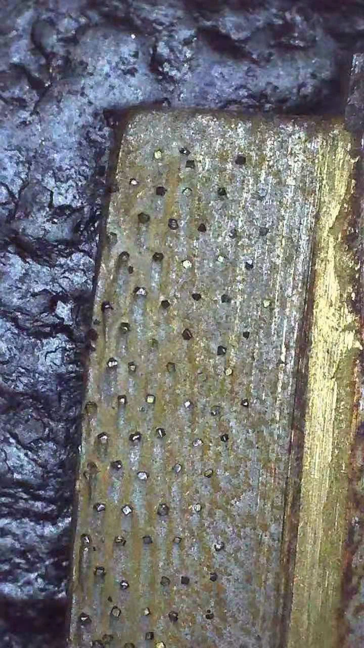 Edge cutting segment for granite (7)